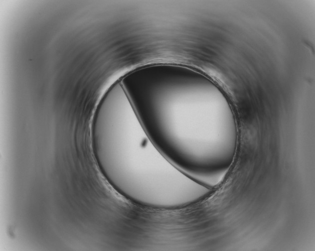X0000091541238200708171003