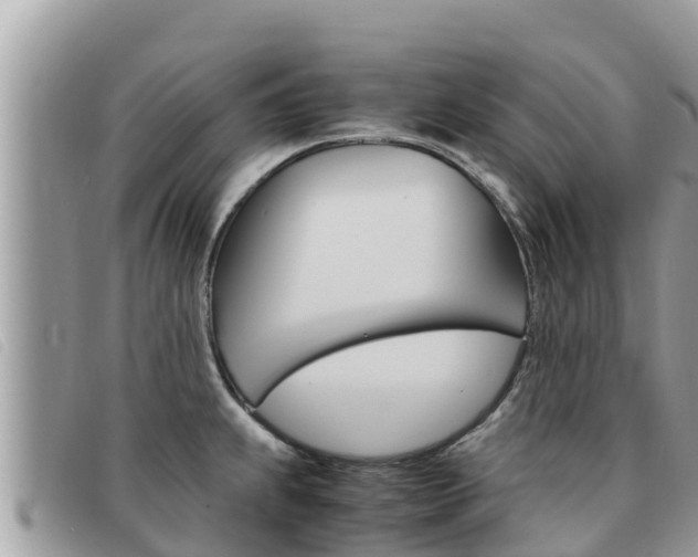 X0000091541239200708171003