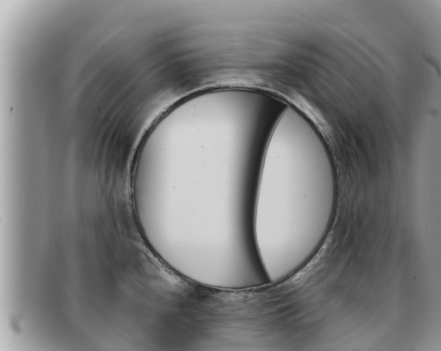 X0000091541240200708171003