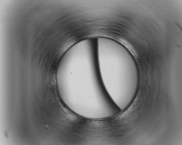 X0000091541241200708171003