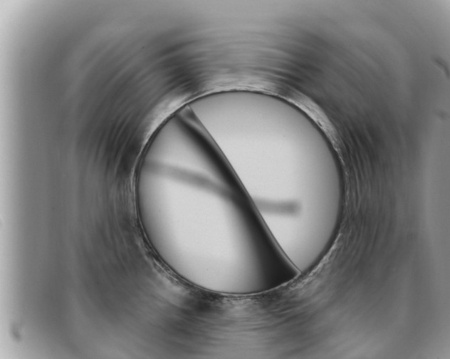 X0000091541242200708171003
