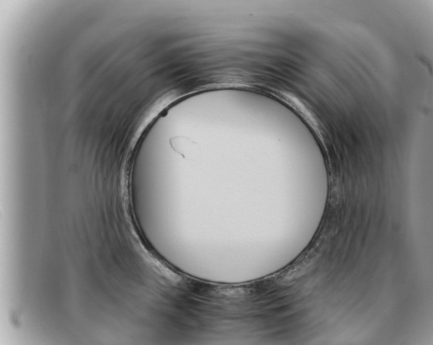 X0000091541243200708171003