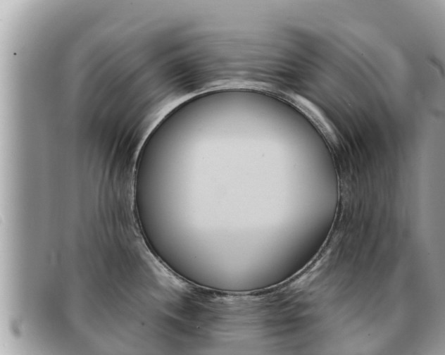 X0000091541244200708171003