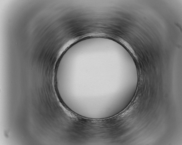 X0000091541245200708171003