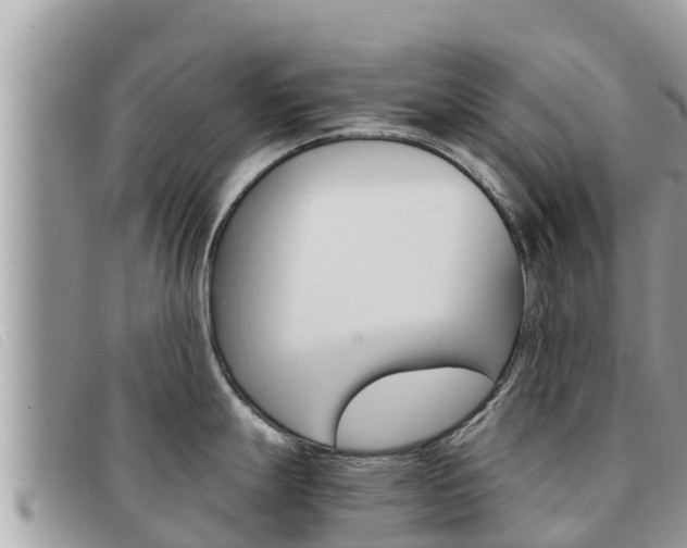 X0000091541247200708171004