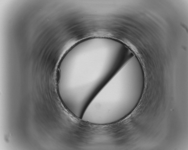 X0000091541248200708171004