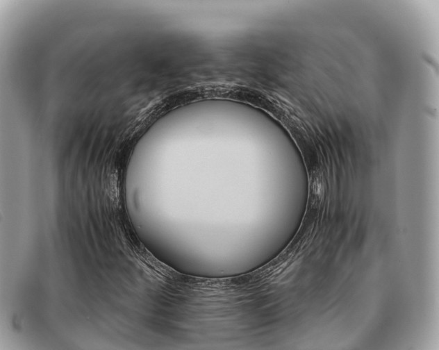 X0000091541252200708171003