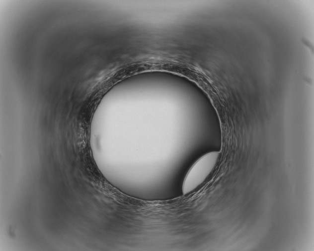 X0000091541253200708171003