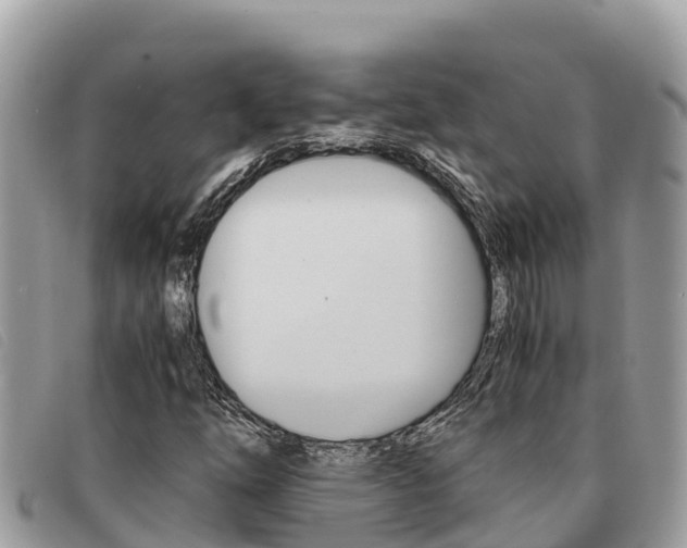 X0000091541254200708171003