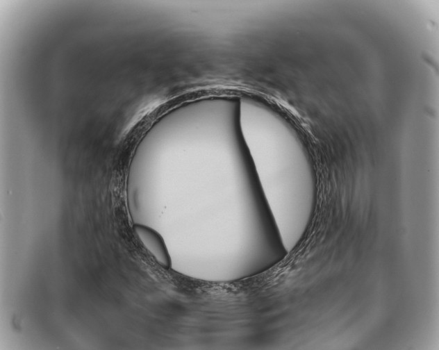X0000091541255200708171003