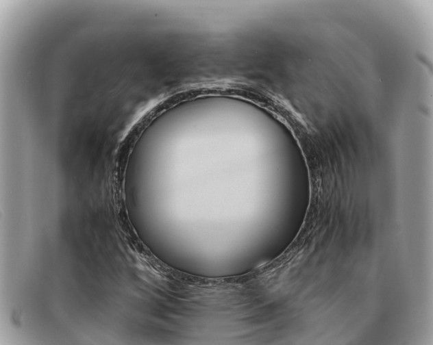 X0000091541256200708171003