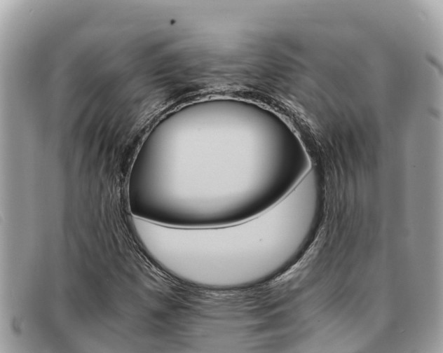 X0000091541257200708171003