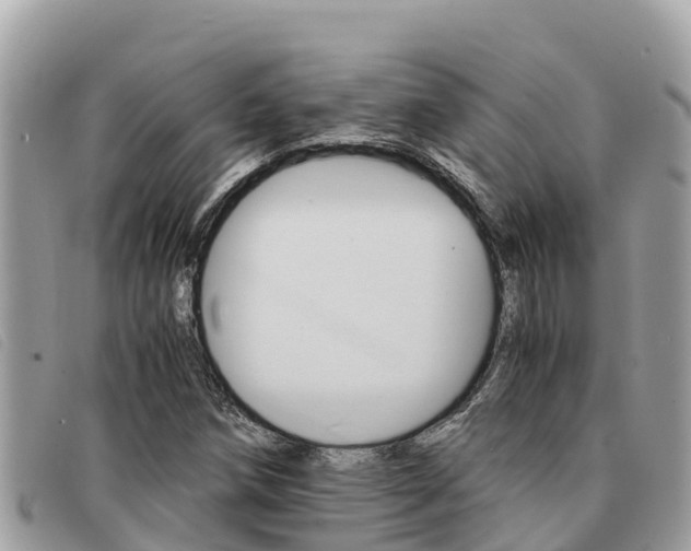 X0000091541258200708171003
