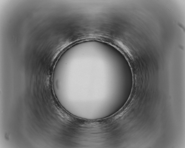 X0000091541260200708171003