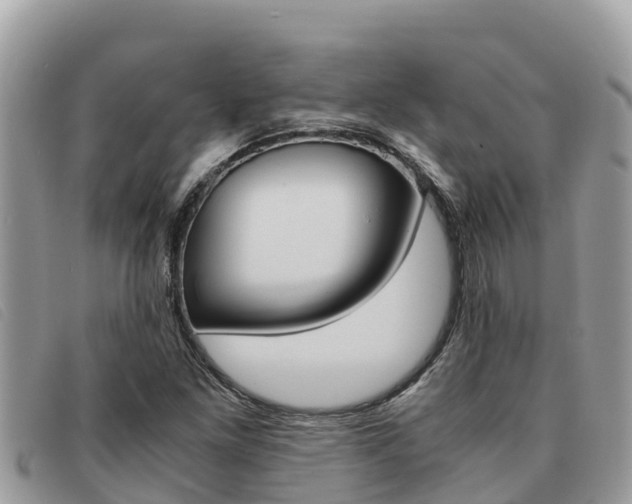 X0000091541261200708171003