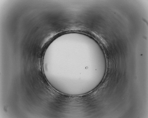X0000091541262200708171003