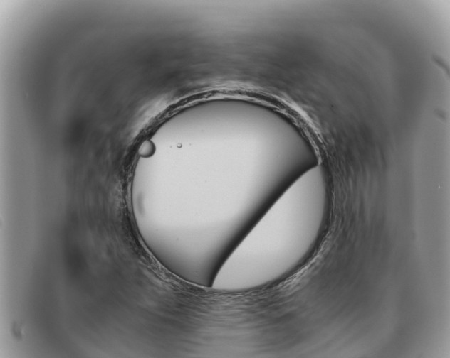 X0000091541263200708171003
