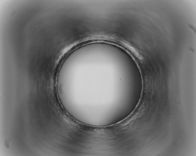 X0000091541264200708171003