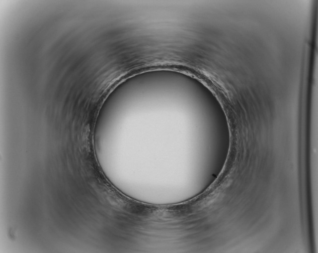 X0000091541265200708171003