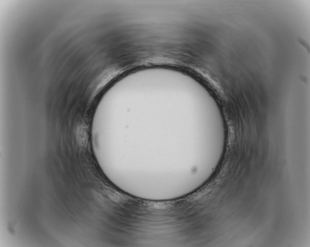 X0000091541266200708171003