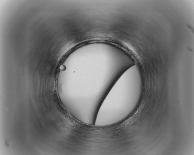X0000091541267200708171003