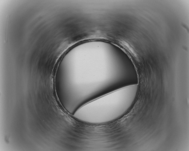 X0000091541268200708171003