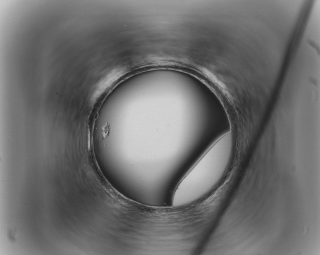X0000091541269200708171003