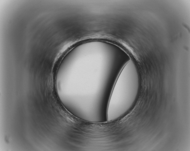 X0000091541270200708171003