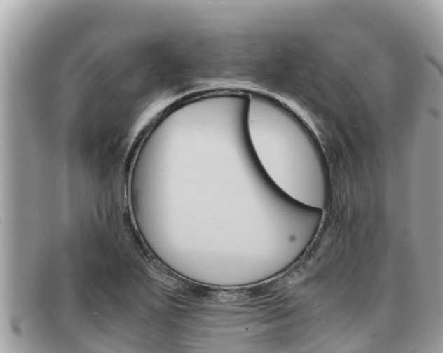 X0000091541271200708171003
