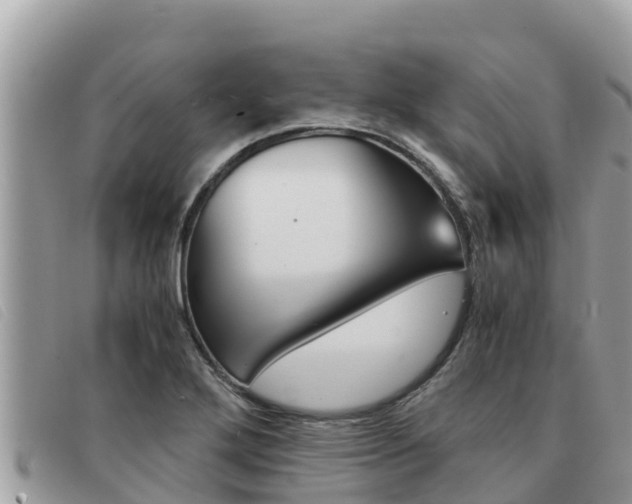 X0000091541272200708171003