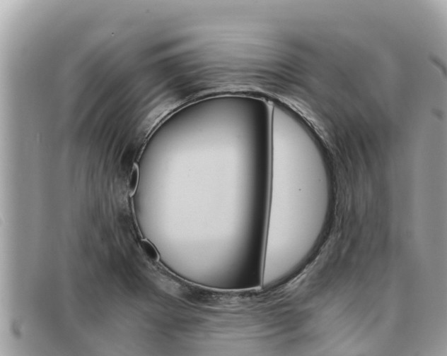 X0000091541273200708171003