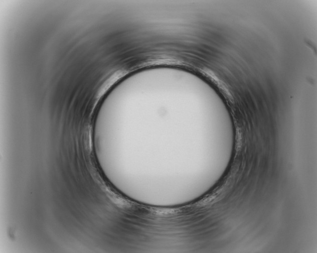 X0000091541274200708171003