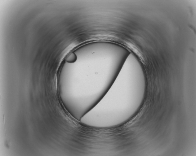 X0000091541275200708171003
