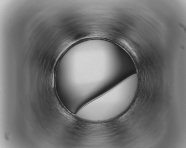 X0000091541276200708171003