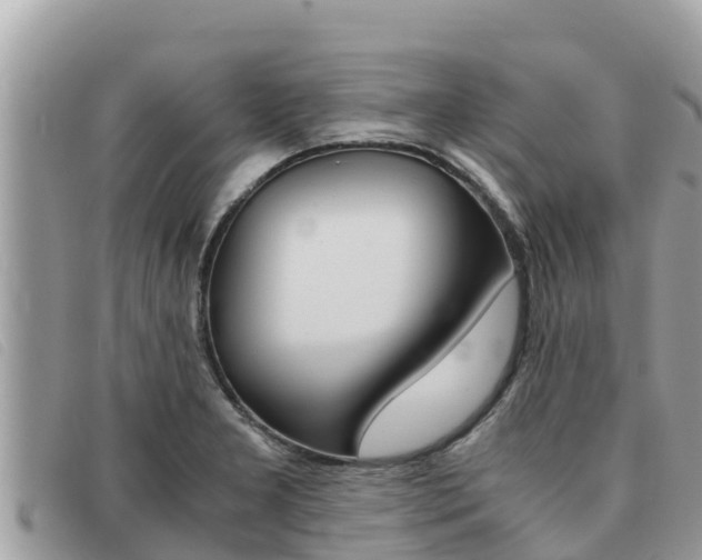 X0000091541277200708171003