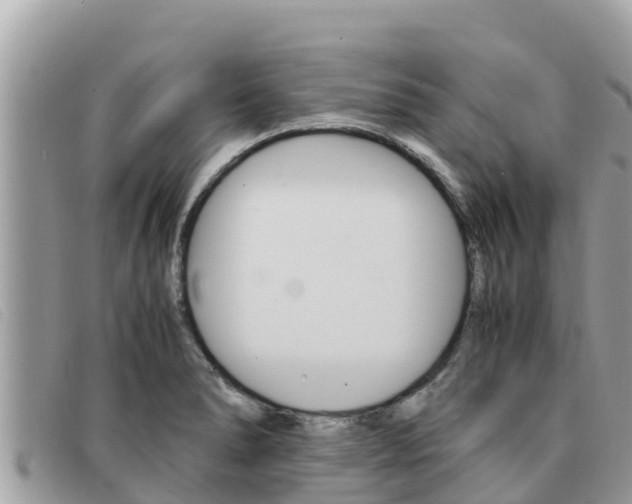 X0000091541278200708171003