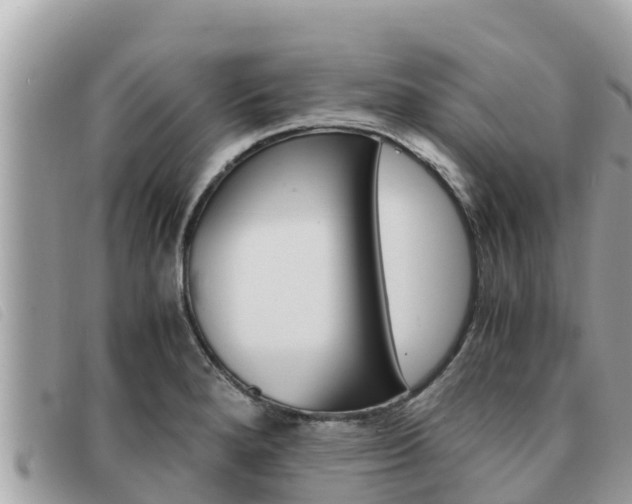 X0000091541280200708171003