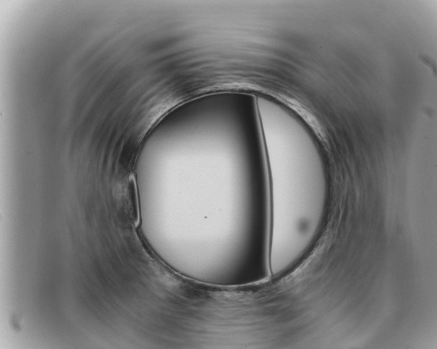 X0000091541281200708171003