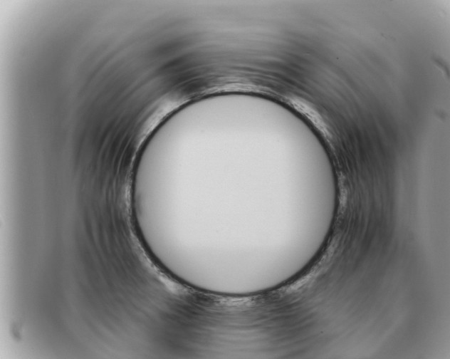 X0000091541282200708171003