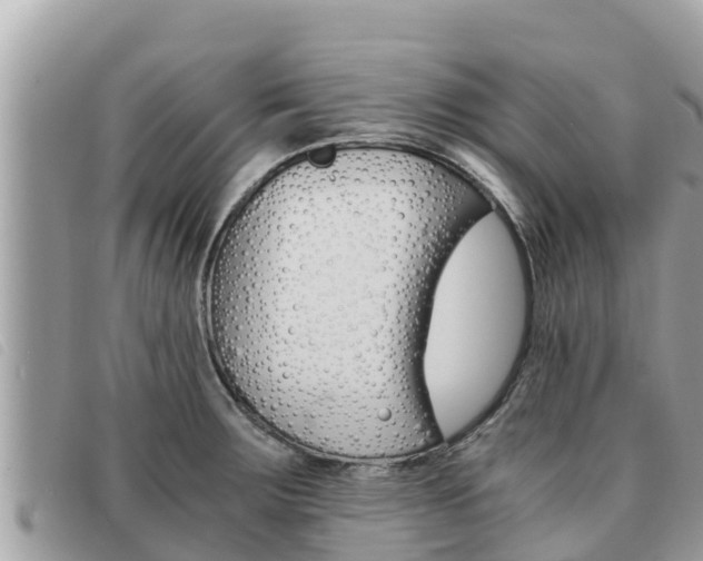 X0000091541283200708171003