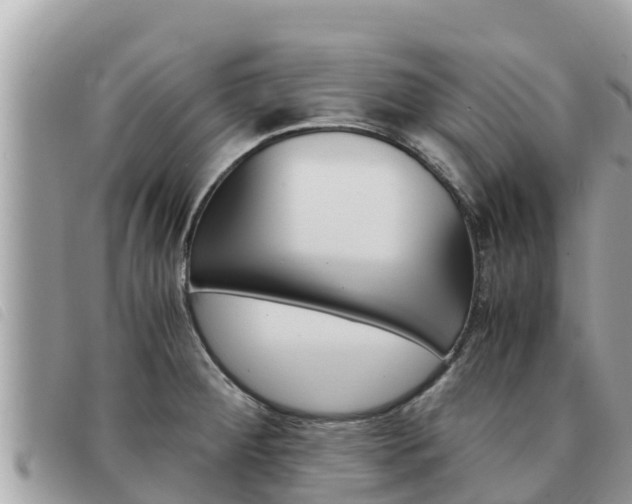 X0000091541284200708171003