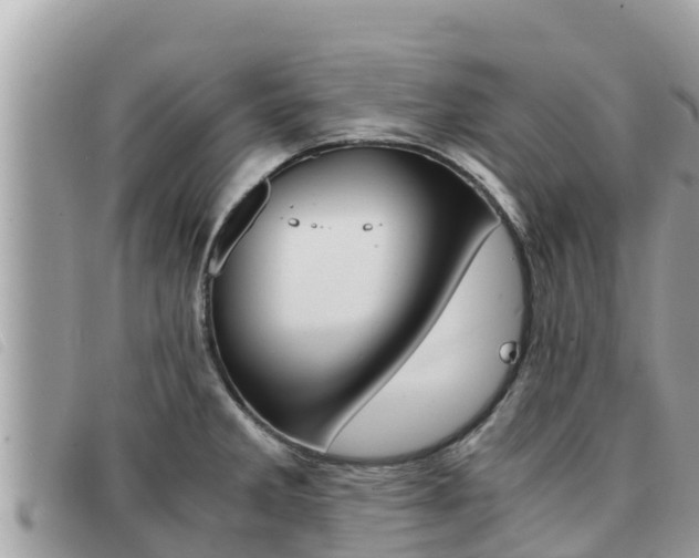 X0000091541285200708171003