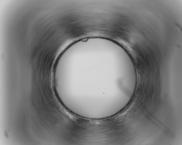 X0000091541286200708171003