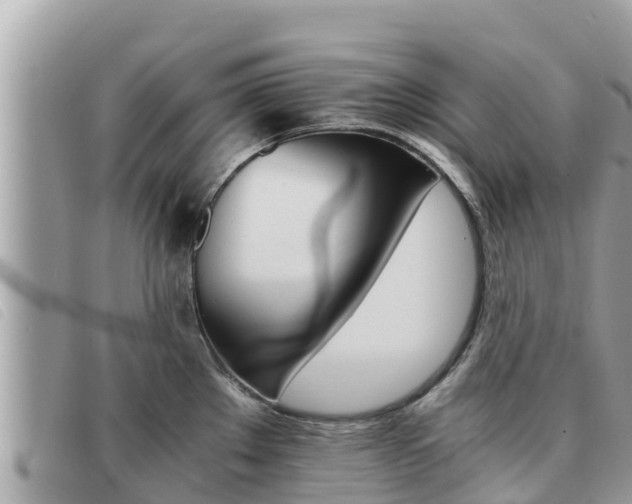 X0000091541289200708171002