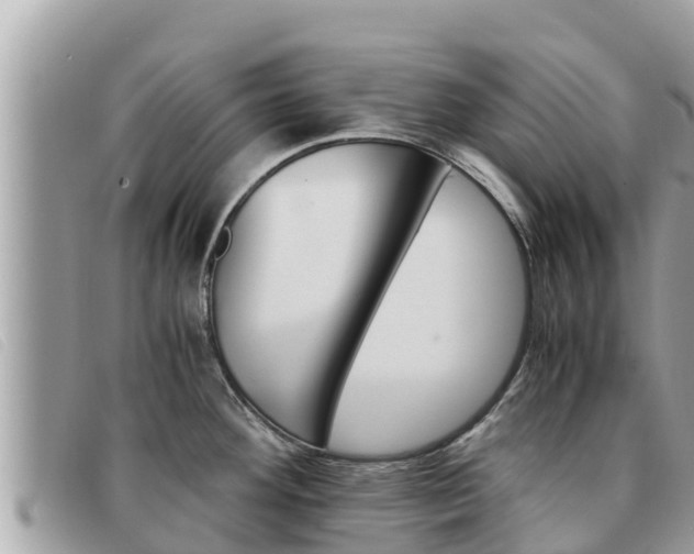 X0000091541292200708171002