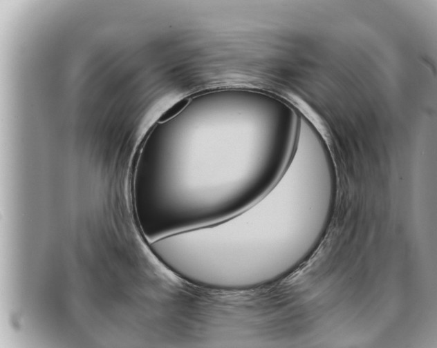 X0000091541293200708171002
