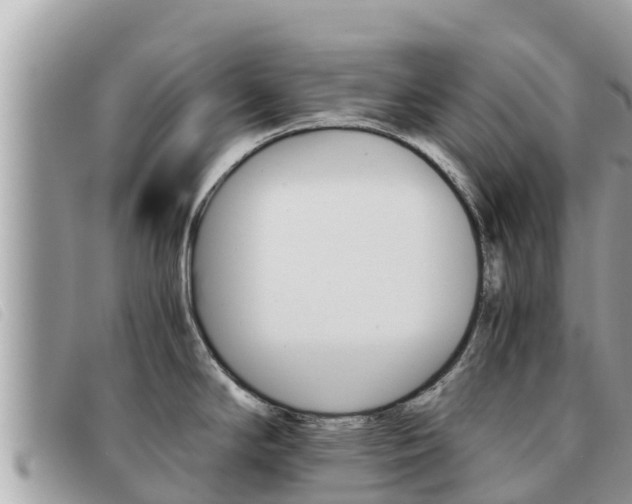 X0000091541294200708171002
