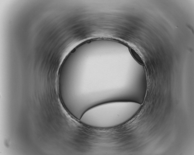 X0000091541295200708171002
