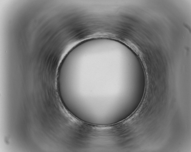 X0000091541296200708171002