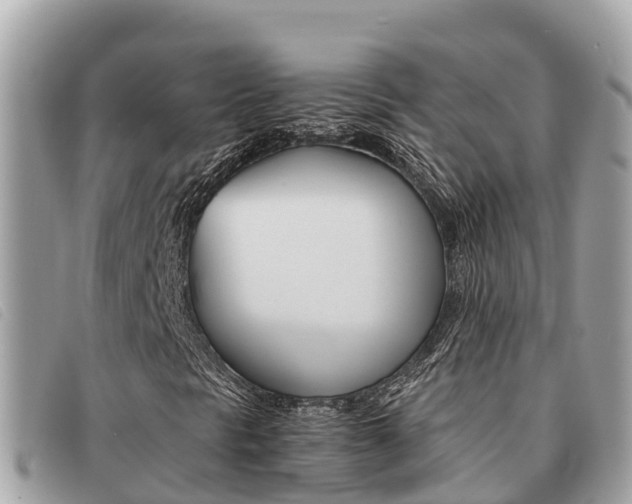 X0000091541297200708171002